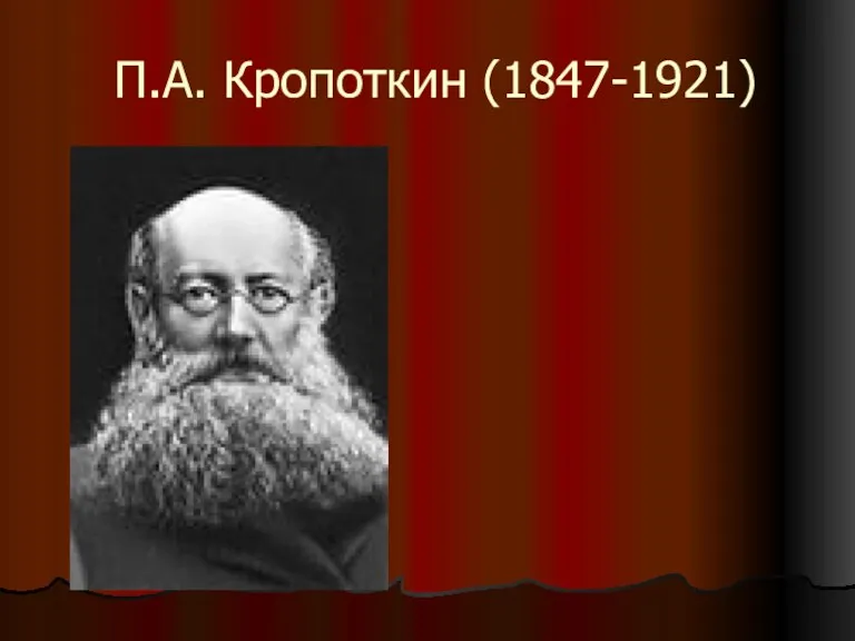 П.А. Кропоткин (1847-1921)