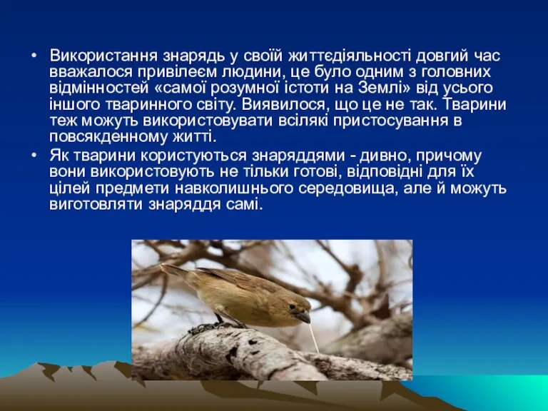 Використання знарядь у своїй життєдіяльності довгий час вважалося привілеєм людини, це було одним