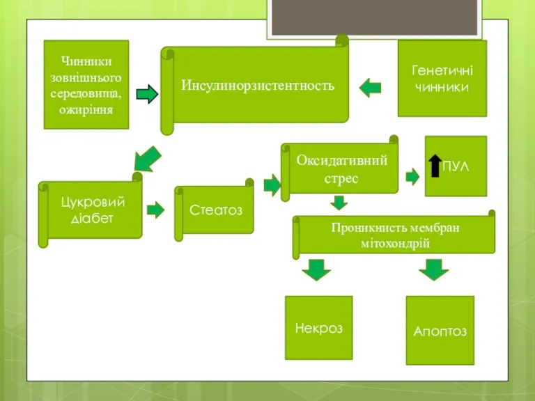 Чинники зовнішнього середовища,ожиріння Инсулинорзистентность Генетичні чинники Цукровий діабет Стеатоз Оксидативний