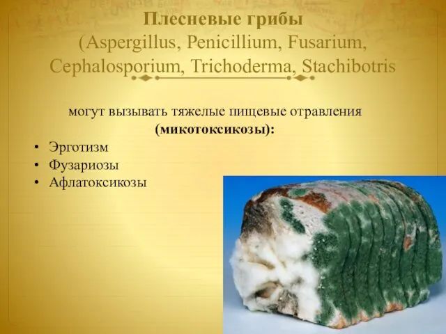 Плесневые грибы (Aspergillus, Penicillium, Fusarium, Cephalosporium, Trichoderma, Stachibotris могут вызывать