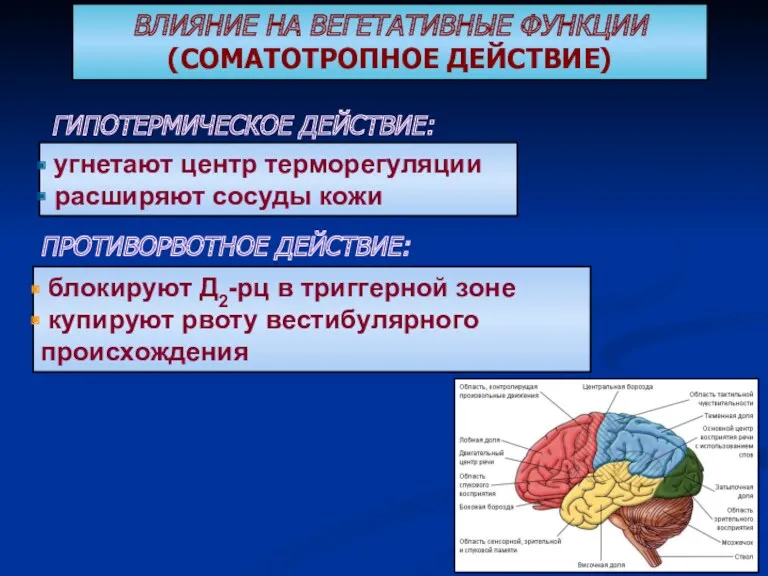 ВЛИЯНИЕ НА ВЕГЕТАТИВНЫЕ ФУНКЦИИ (СОМАТОТРОПНОЕ ДЕЙСТВИЕ)