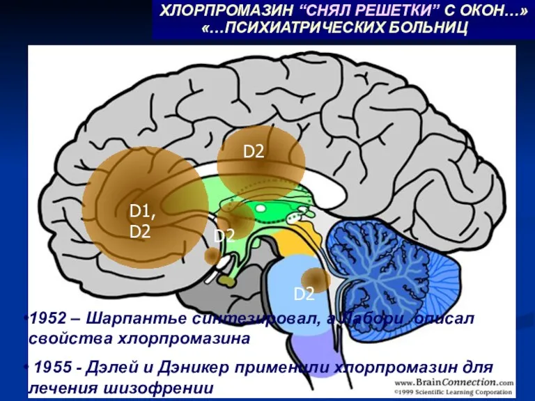 D1, D2 D2 D2 D2 «…ХЛОРПРОМАЗИН “СНЯЛ РЕШЕТКИ” С ОКОН