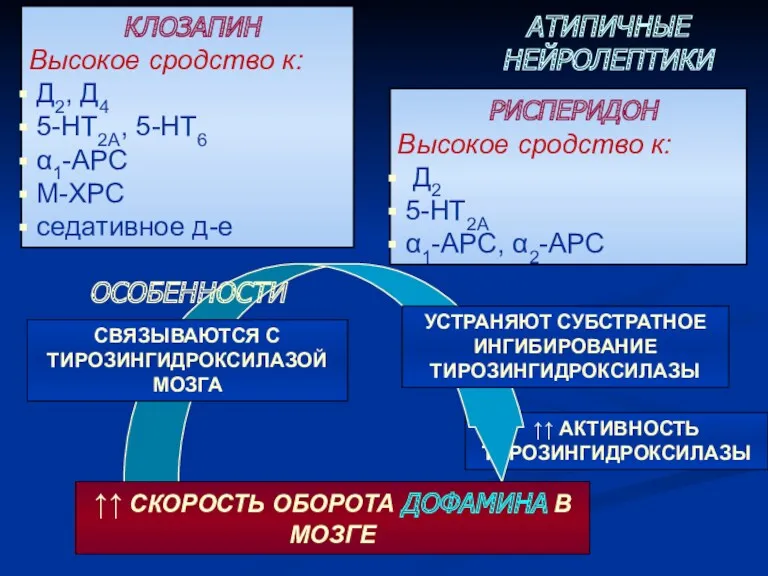 ↑↑ АКТИВНОСТЬ ТИРОЗИНГИДРОКСИЛАЗЫ РИСПЕРИДОН Высокое сродство к: Д2 5-НТ2А α1-АРС,