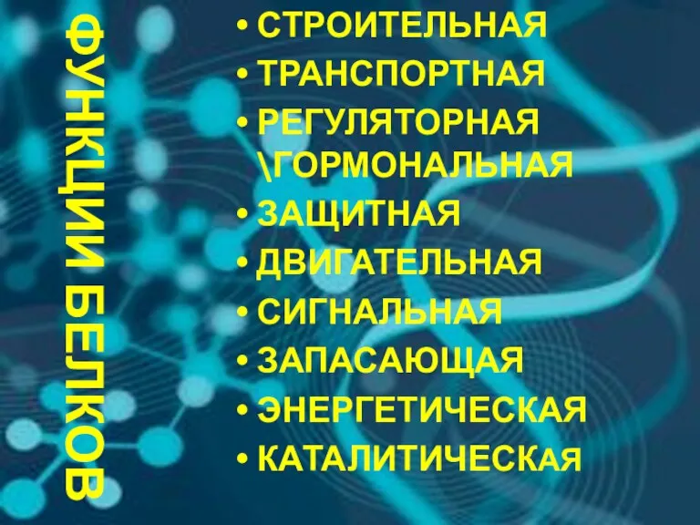 ФУНКЦИИ БЕЛКОВ СТРОИТЕЛЬНАЯ ТРАНСПОРТНАЯ РЕГУЛЯТОРНАЯ \ГОРМОНАЛЬНАЯ ЗАЩИТНАЯ ДВИГАТЕЛЬНАЯ СИГНАЛЬНАЯ ЗАПАСАЮЩАЯ ЭНЕРГЕТИЧЕСКАЯ КАТАЛИТИЧЕСКАЯ