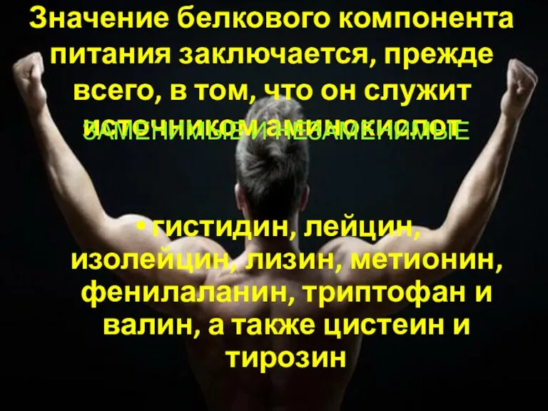 Значение белкового компонента питания заключается, прежде всего, в том, что