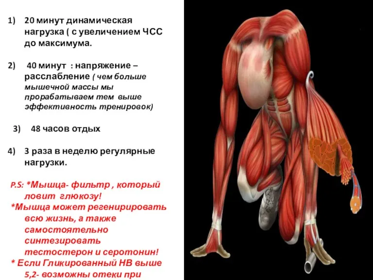 20 минут динамическая нагрузка ( с увеличением ЧСС до максимума.