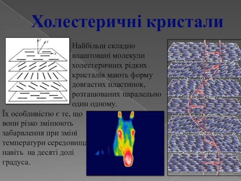 Найбільш складно влаштовані молекули холестеричних рідких кристалів мають форму довгастих