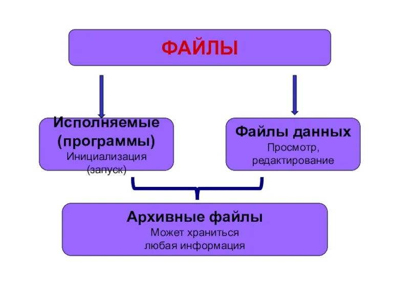 ФАЙЛЫ Исполняемые (программы) Инициализация (запуск) Архивные файлы Может храниться любая информация Файлы данных Просмотр, редактирование