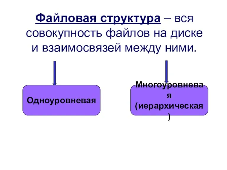 Файловая структура – вся совокупность файлов на диске и взаимосвязей между ними. Одноуровневая Многоуровневая (иерархическая)