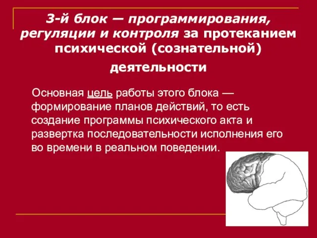 3-й блок — программирования, регуляции и контроля за протеканием психической (сознательной) деятельности Основная