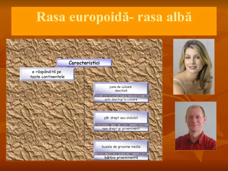 Rasa europoidă- rasa albă