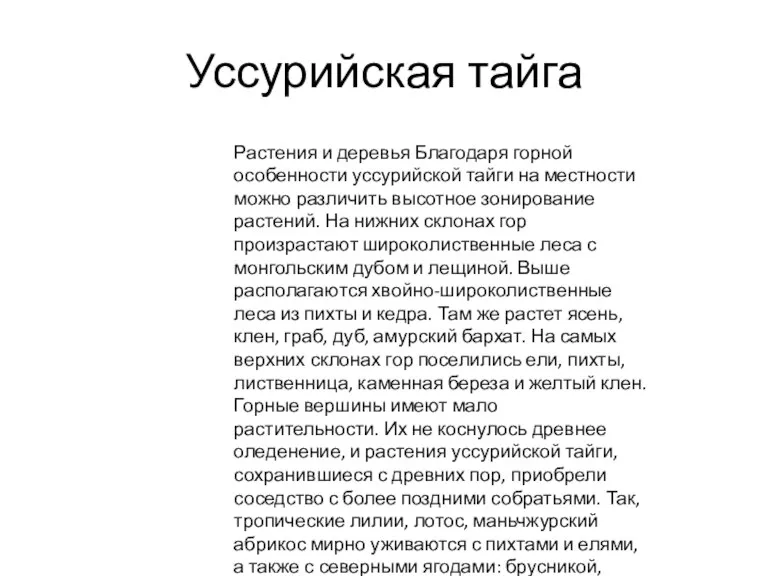 Уссурийская тайга Растения и деревья Благодаря горной особенности уссурийской тайги