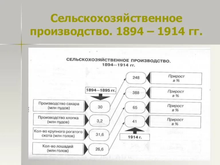 Сельскохозяйственное производство. 1894 – 1914 гг.