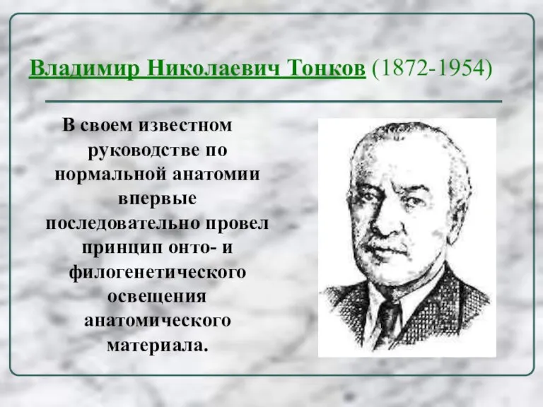 Владимир Николаевич Тонков (1872-1954) В своем известном руководстве по нормальной