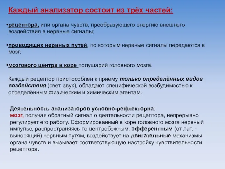 Каждый анализатор состоит из трёх частей: рецептора, или органа чувств,