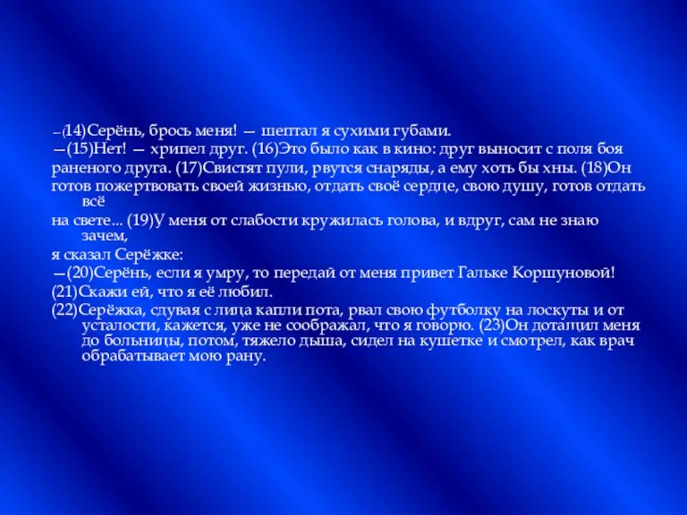 —(14)Серёнь, брось меня! — шептал я сухими губами. —(15)Нет! —