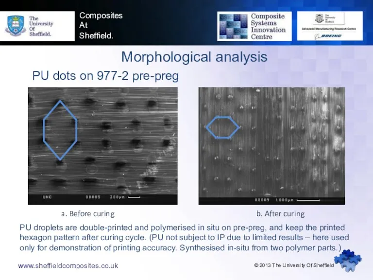 www.sheffieldcomposites.co.uk Composites At Sheffield. Morphological analysis PU dots on 977-2