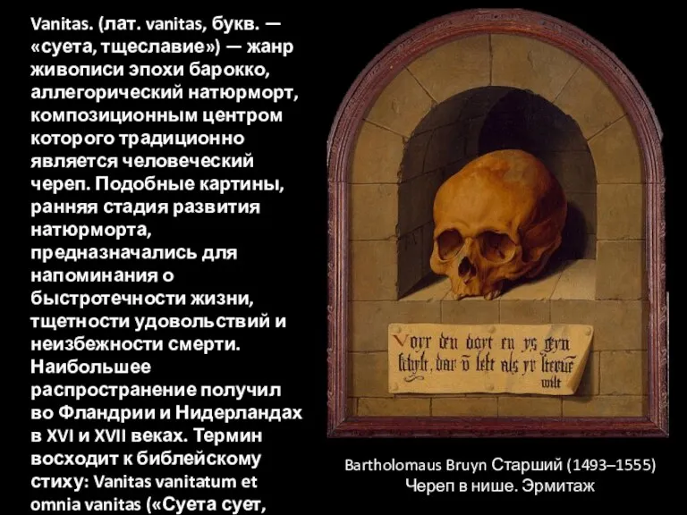 Bartholomaus Bruyn Старший (1493–1555) Череп в нише. Эрмитаж Vanitas. (лат. vanitas, букв. —
