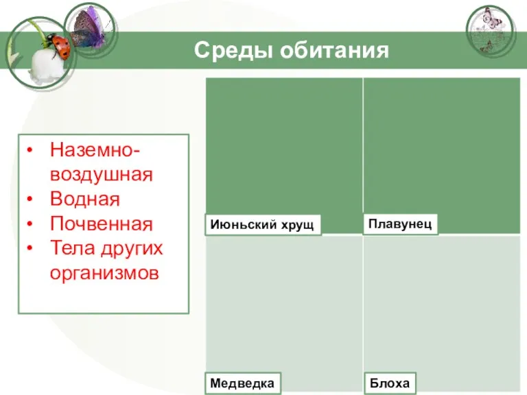 Среды обитания Наземно-воздушная Водная Почвенная Тела других организмов Июньский хрущ Плавунец Блоха Медведка