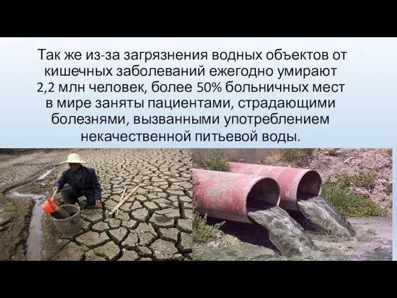 Так же из-за загрязнения водных объектов от кишечных заболеваний ежегодно