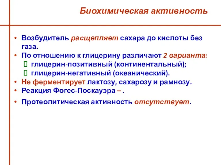 Биохимическая активность Возбудитель расщепляет сахара до кислоты без газа. По