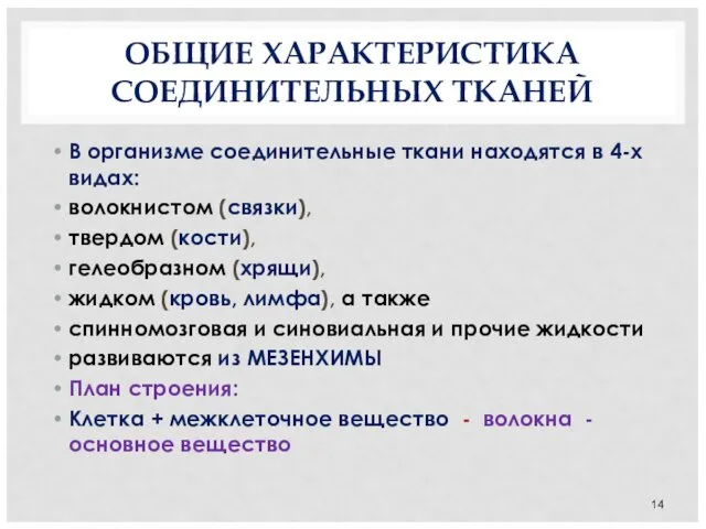 ОБЩИЕ ХАРАКТЕРИСТИКА СОЕДИНИТЕЛЬНЫХ ТКАНЕЙ В организме соединительные ткани находятся в