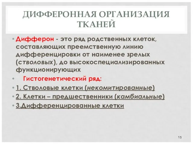 ДИФФЕРОННАЯ ОРГАНИЗАЦИЯ ТКАНЕЙ Дифферон - это ряд родственных клеток, составляющих