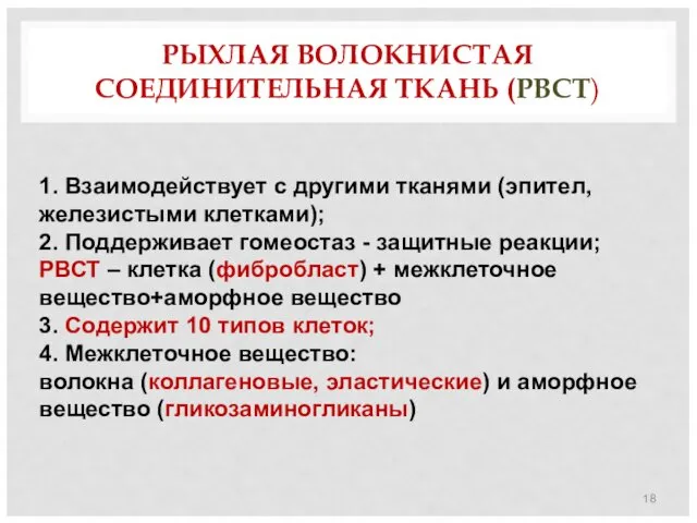 РЫХЛАЯ ВОЛОКНИСТАЯ СОЕДИНИТЕЛЬНАЯ ТКАНЬ (РВСТ) 1. Взаимодействует с другими тканями