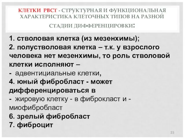 КЛЕТКИ РВСТ - СТРУКТУРНАЯ И ФУНКЦИОНАЛЬНАЯ ХАРАКТЕРИСТИКА КЛЕТОЧНЫХ ТИПОВ НА