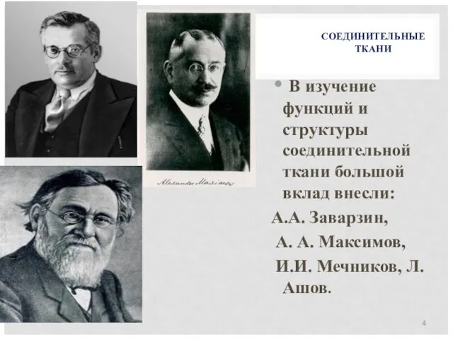 СОЕДИНИТЕЛЬНЫЕ ТКАНИ В изучение функций и структуры соединительной ткани большой