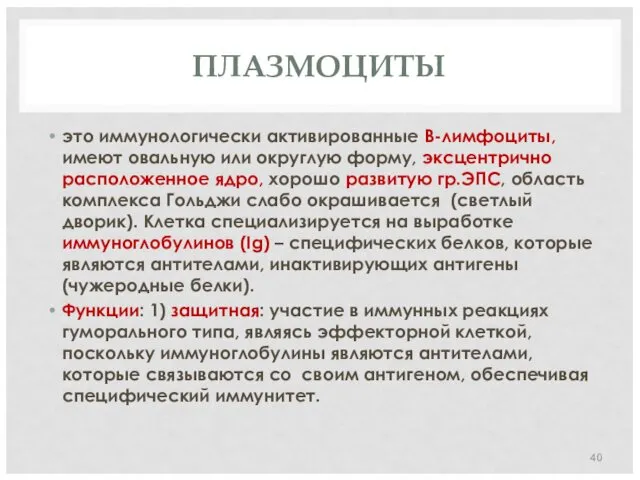 ПЛАЗМОЦИТЫ это иммунологически активированные В-лимфоциты, имеют овальную или округлую форму,