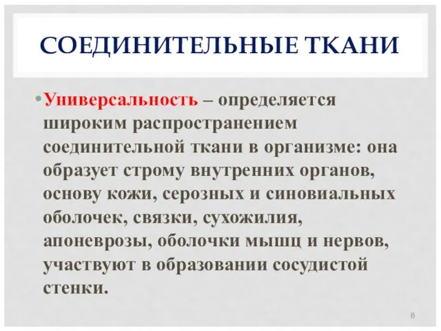 СОЕДИНИТЕЛЬНЫЕ ТКАНИ Универсальность – определяется широким распространением соединительной ткани в