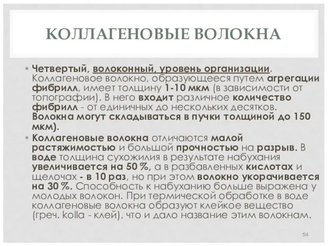 КОЛЛАГЕНОВЫЕ ВОЛОКНА Четвертый, волоконный, уровень организации. Коллагеновое волокно, образующееся путем