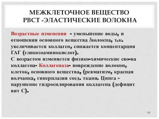 МЕЖКЛЕТОЧНОЕ ВЕЩЕСТВО РВСТ -ЭЛАСТИЧЕСКИЕ ВОЛОКНА Возрастные изменения - уменьшение воды,