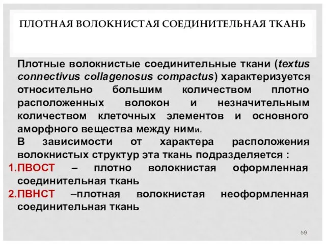 ПЛОТНАЯ ВОЛОКНИСТАЯ СОЕДИНИТЕЛЬНАЯ ТКАНЬ Плотные волокнистые соединительные ткани (textus connectivus