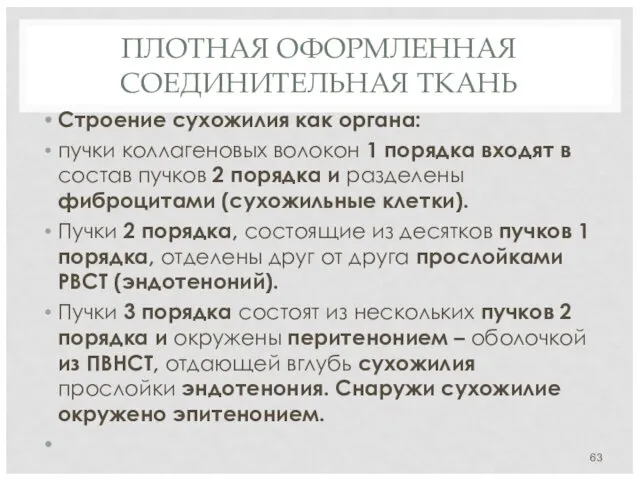 ПЛОТНАЯ ОФОРМЛЕННАЯ СОЕДИНИТЕЛЬНАЯ ТКАНЬ Строение сухожилия как органа: пучки коллагеновых