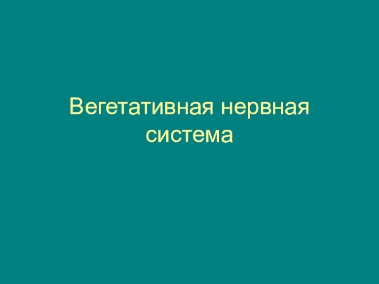 Вегетативная нервная система