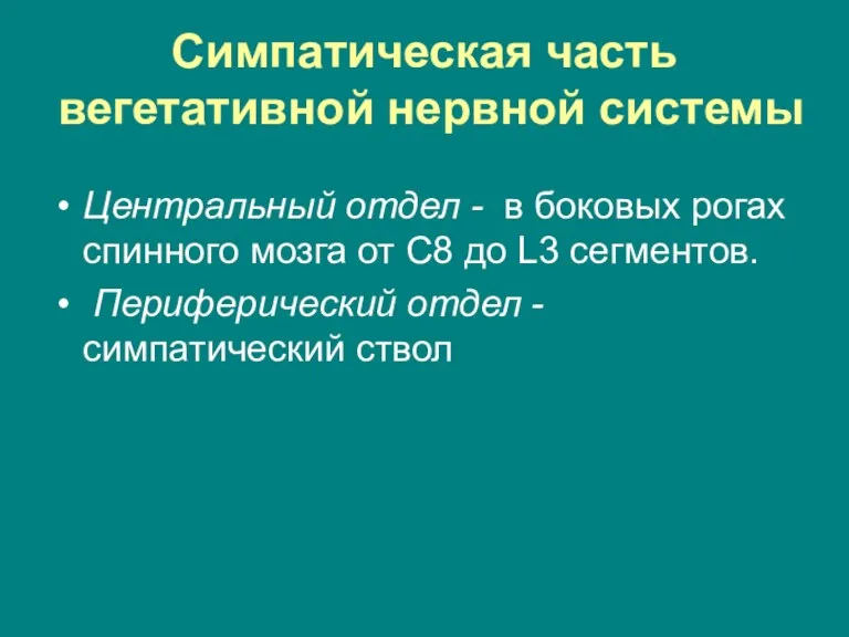 Симпатическая часть вегетативной нервной системы Центральный отдел - в боковых рогах спинного мозга