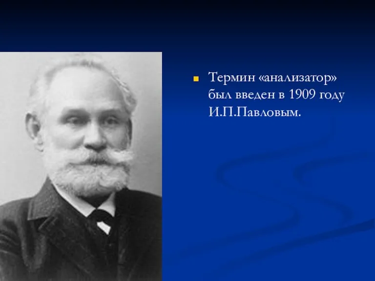 Термин «анализатор» был введен в 1909 году И.П.Павловым.