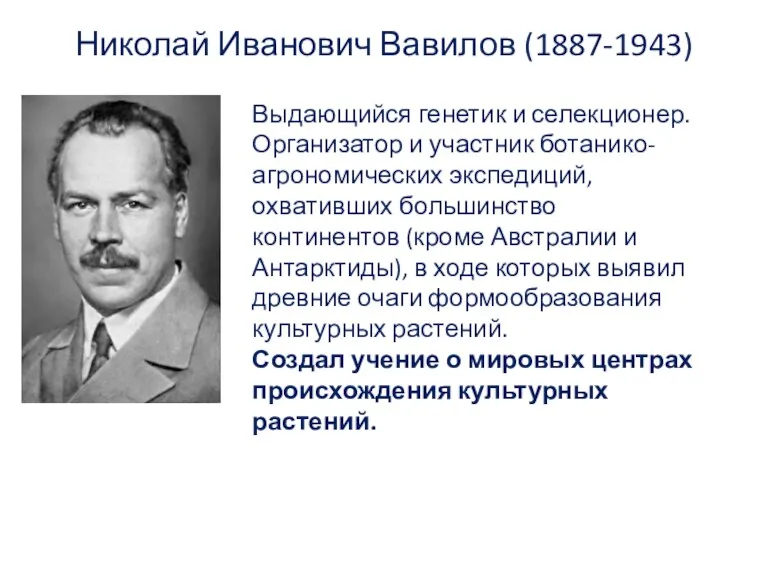 Николай Иванович Вавилов (1887-1943) Выдающийся генетик и селекционер. Организатор и участник ботанико-агрономических экспедиций,