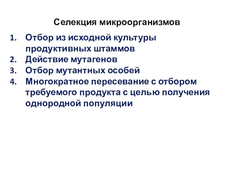 Селекция микроорганизмов Отбор из исходной культуры продуктивных штаммов Действие мутагенов Отбор мутантных особей