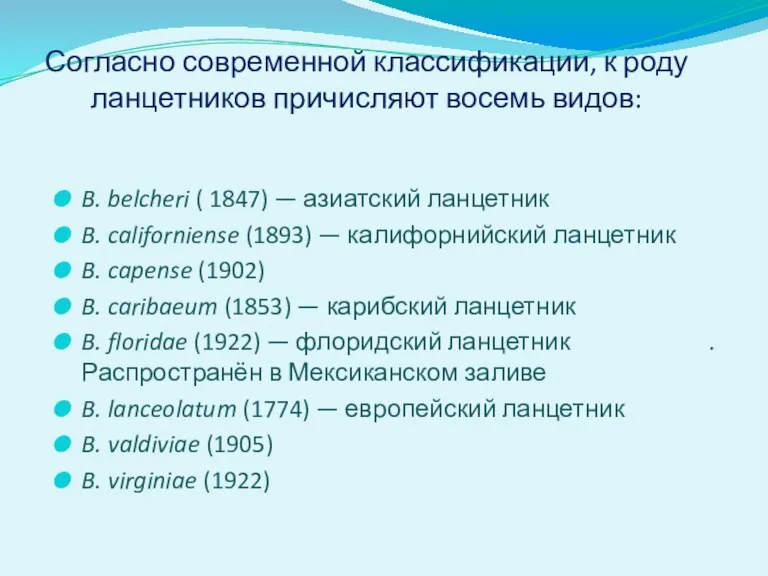 Согласно современной классификации, к роду ланцетников причисляют восемь видов: B.