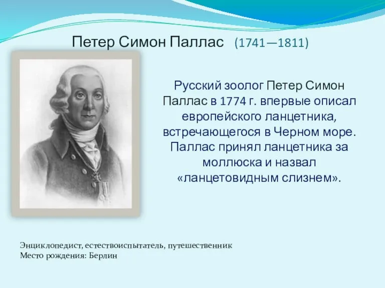 Петер Симон Паллас (1741—1811) Энциклопедист, естествоиспытатель, путешественник Место рождения: Берлин