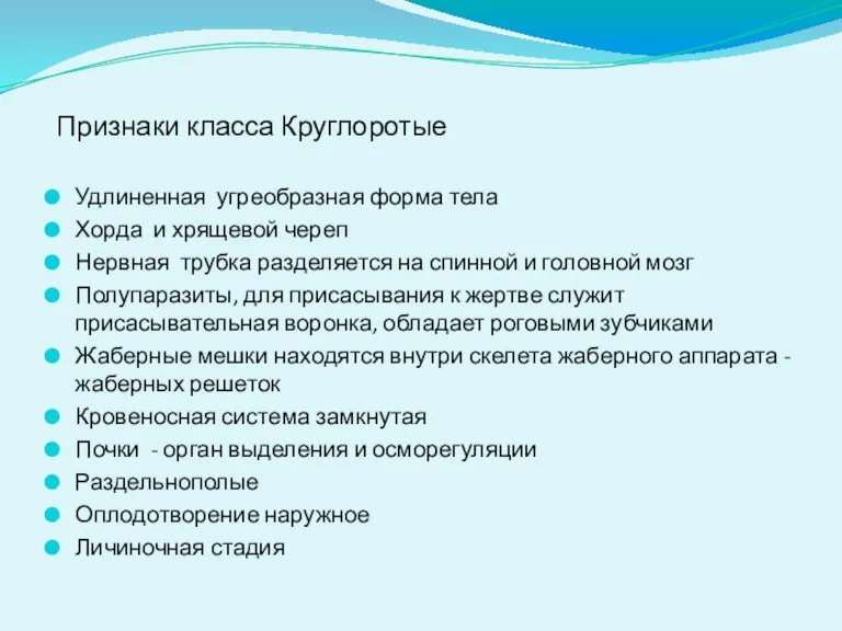 Признаки класса Круглоротые Удлиненная угреобразная форма тела Хорда и хрящевой череп Нервная трубка