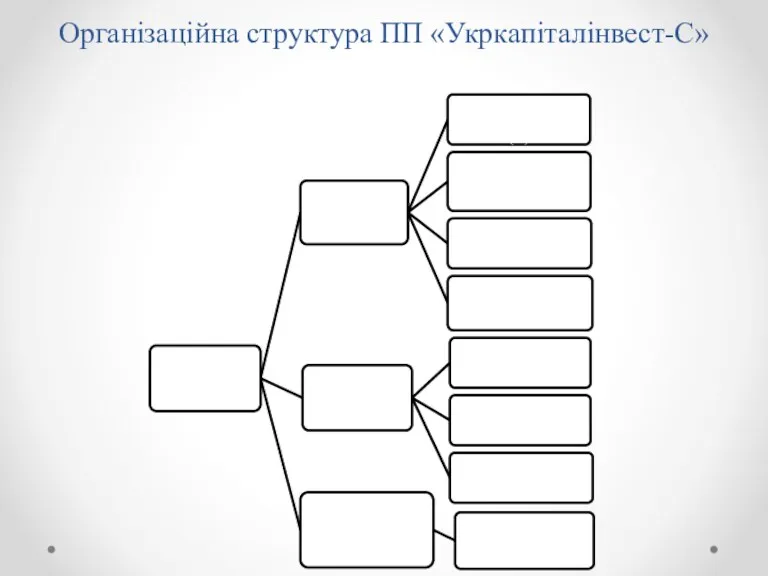 Організаційна структура ПП «Укркапіталінвест-С»