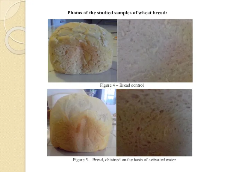 Photos of the studied samples of wheat bread: Figure 4