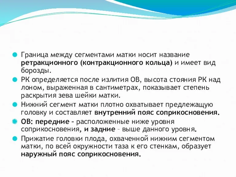 Граница между сегментами матки носит название ретракционного (контракционного кольца) и