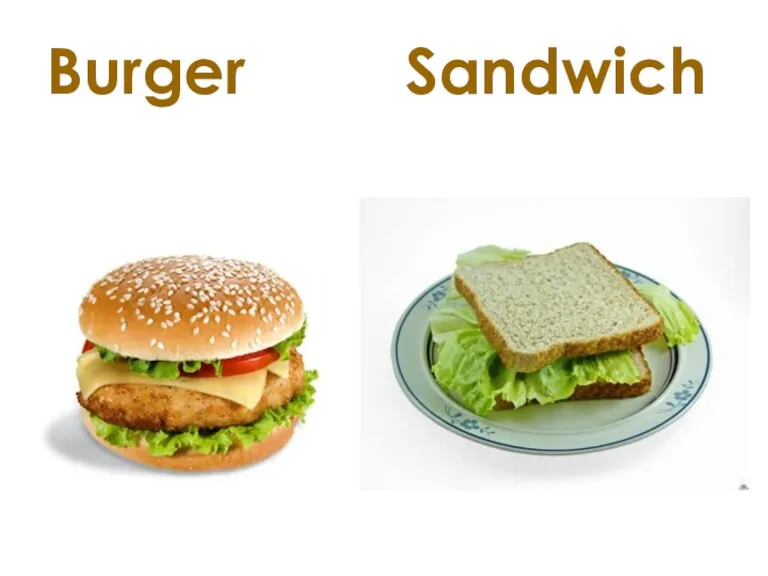 Burger Sandwich