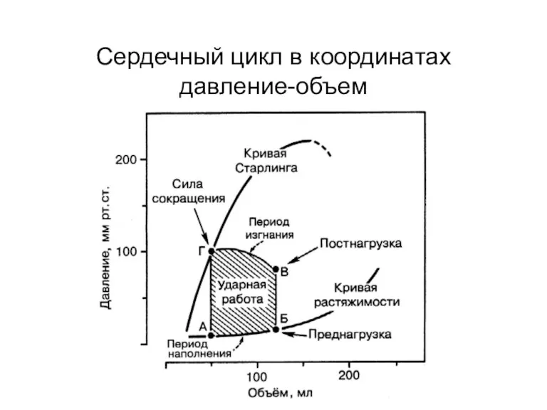 Сердечный цикл в координатах давление-объем