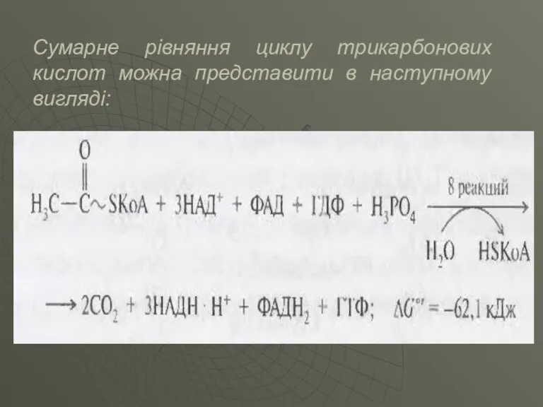 Сумарне рівняння циклу трикарбонових кислот можна представити в наступному вигляді: